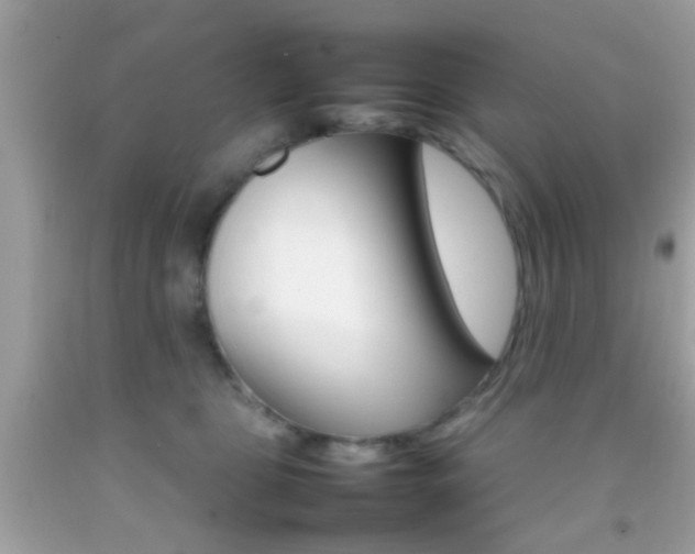 X0000092070469200709121420