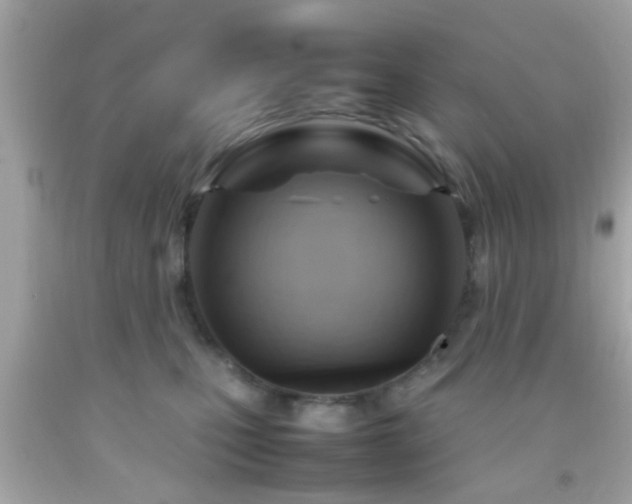 X0000092070471200709121420