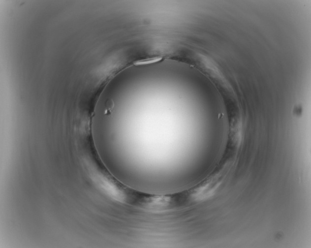 X0000092070474200709121420