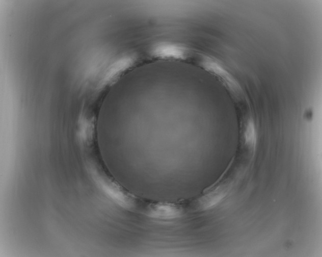 X0000092070475200709121420