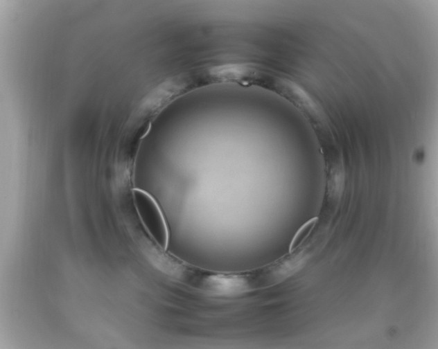 X0000092070477200709121420