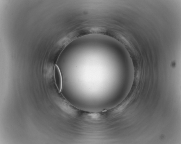 X0000092070478200709121420
