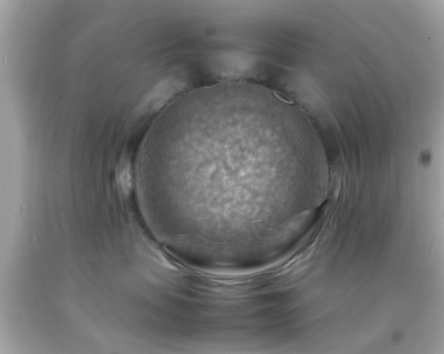 X0000092070479200709121420