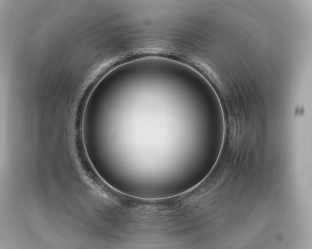 X0000092070482200709121419