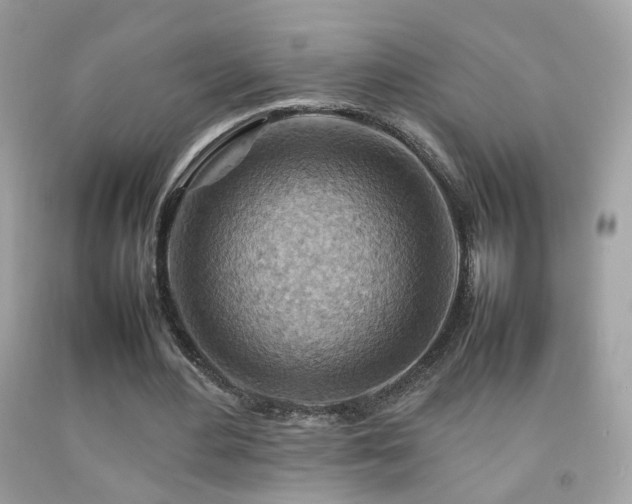 X0000092070484200709121419