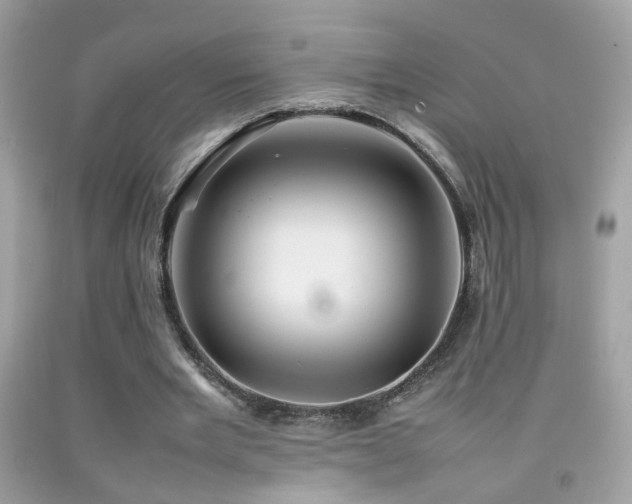 X0000092070485200709121419