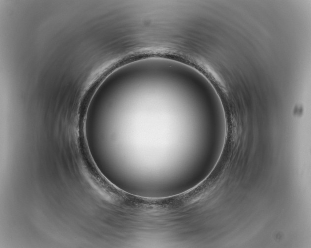 X0000092070486200709121419