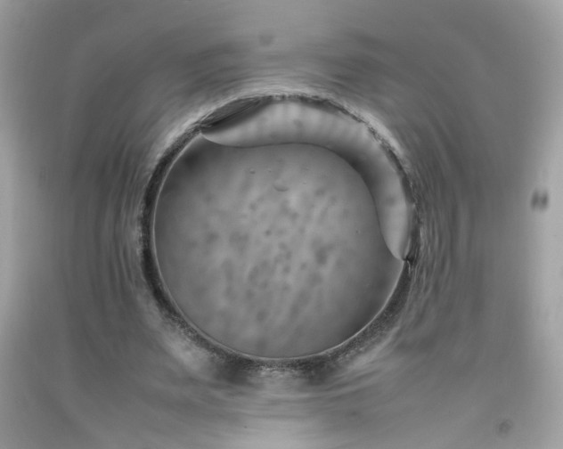 X0000092070487200709121419
