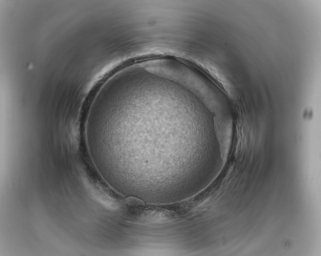 X0000092070488200709121419