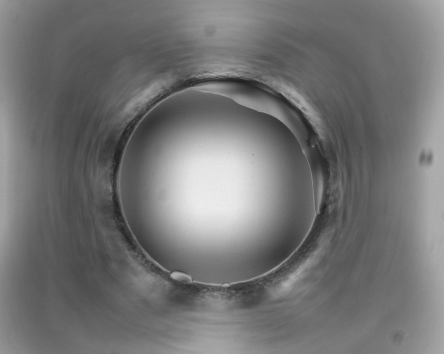 X0000092070489200709121419