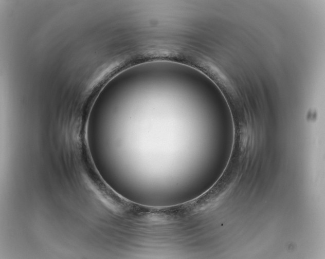X0000092070490200709121419