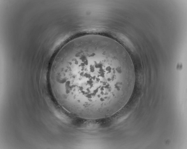 X0000092070491200709121419