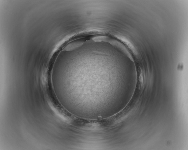 X0000092070492200709121419