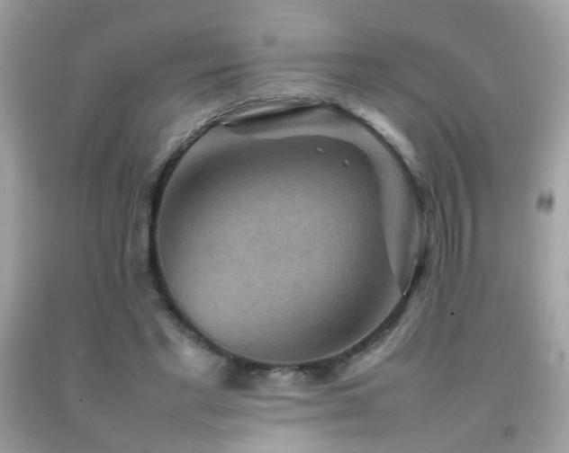X0000092070493200709121419