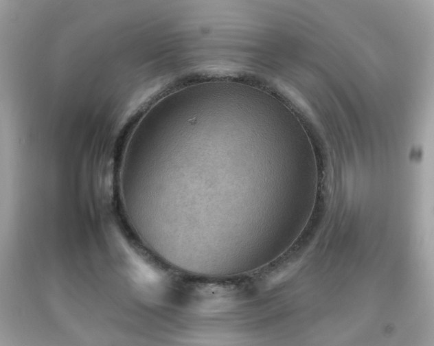 X0000092070494200709121419
