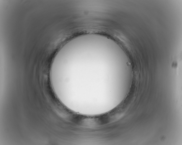 X0000092070499200709121419