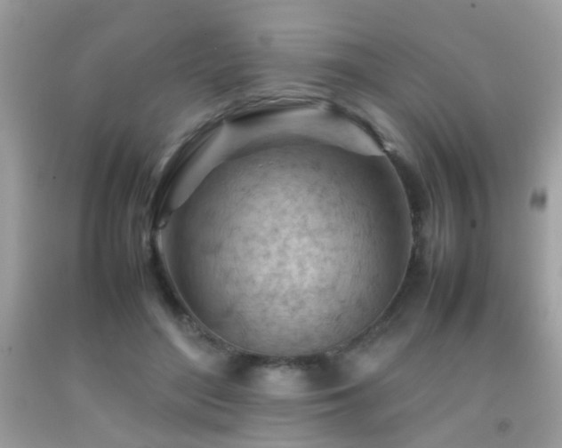 X0000092070500200709121419