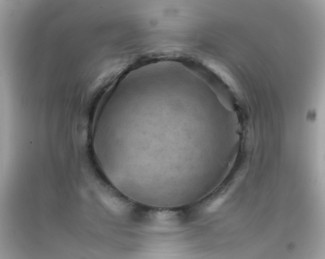 X0000092070501200709121419