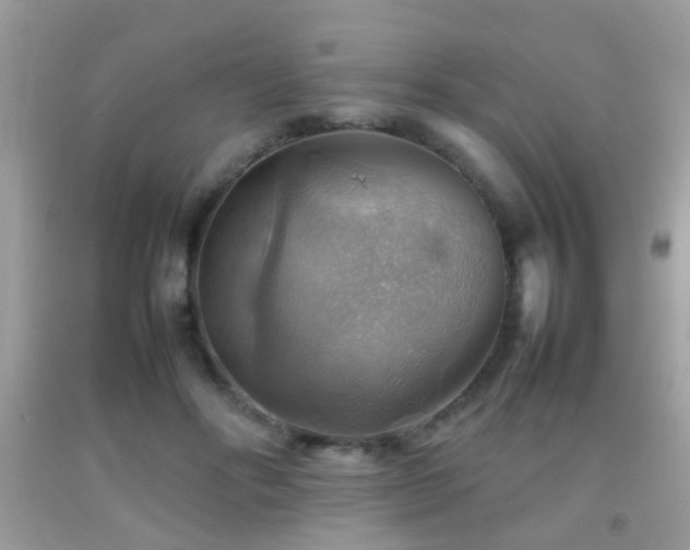 X0000092070502200709121419