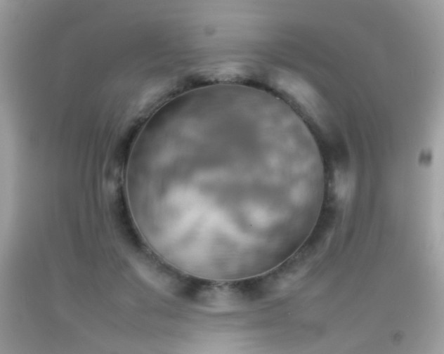 X0000092070503200709121419