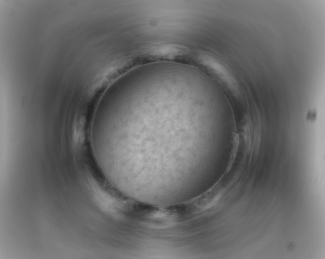 X0000092070504200709121419