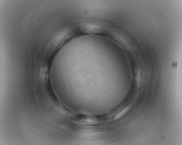 X0000092070506200709121419