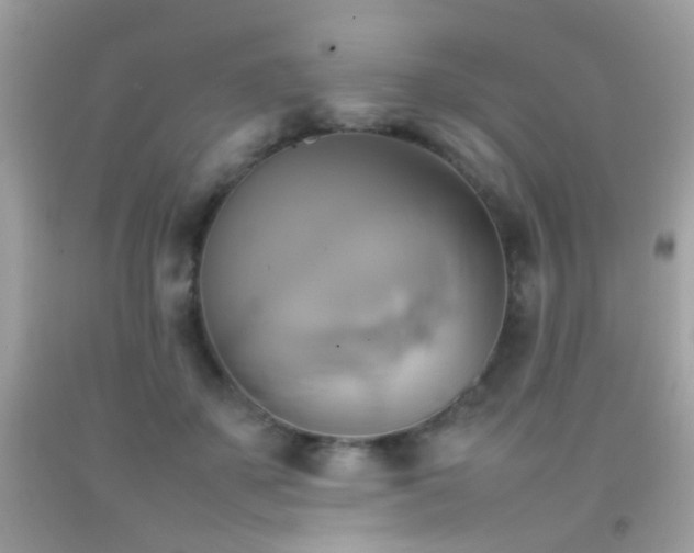 X0000092070507200709121419