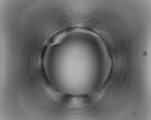 X0000092070508200709121419