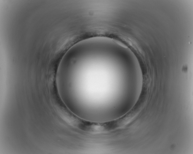 X0000092070509200709121419