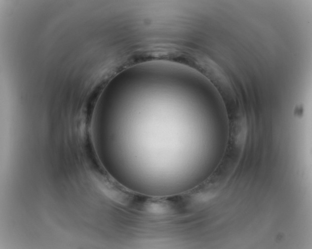 X0000092070510200709121419
