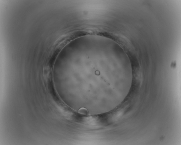 X0000092070511200709121419