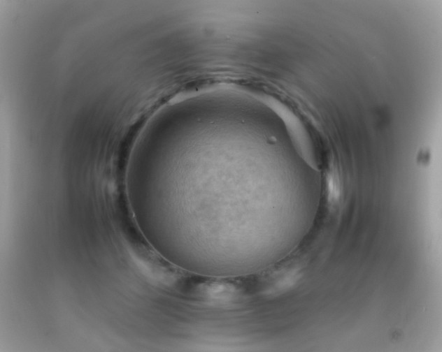 X0000092070512200709121419