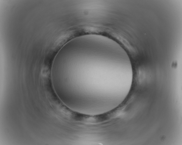 X0000092070513200709121419