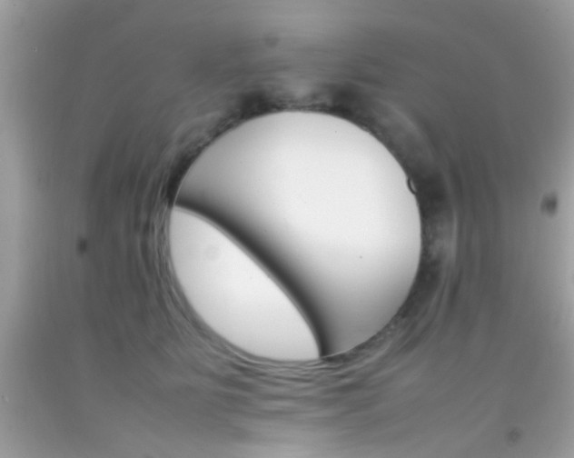 X0000092070515200709121419