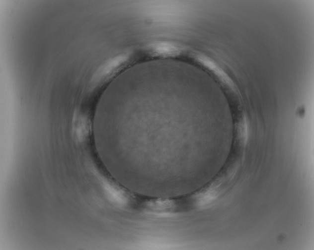 X0000092070517200709121419
