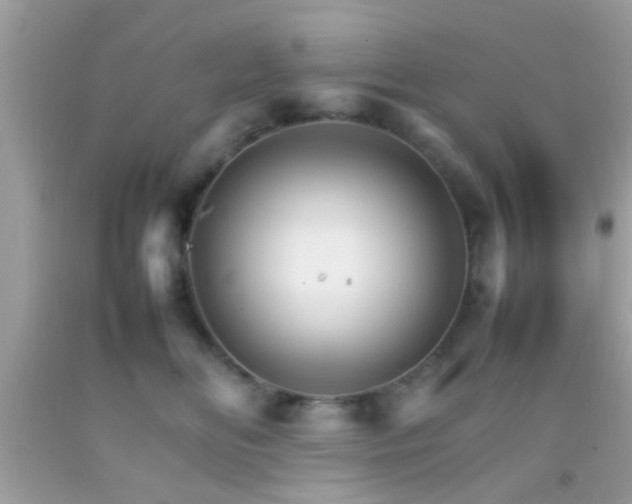 X0000092070518200709121419