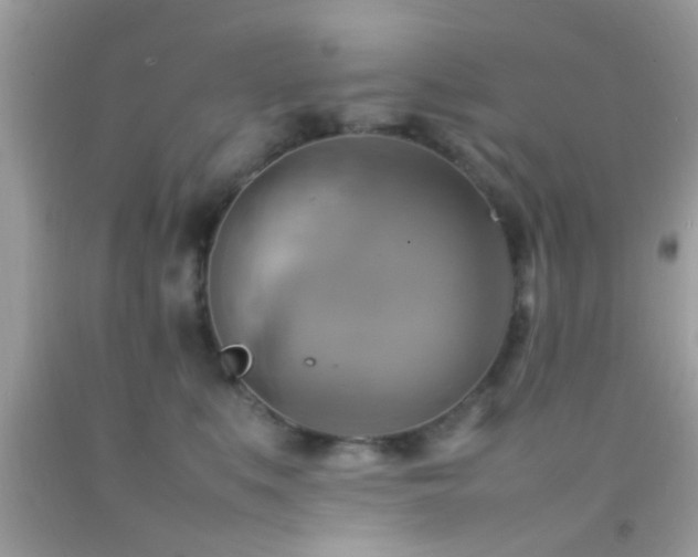 X0000092070519200709121419