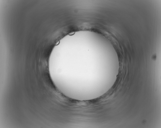 X0000092070523200709121419