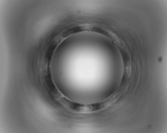 X0000092070525200709121419