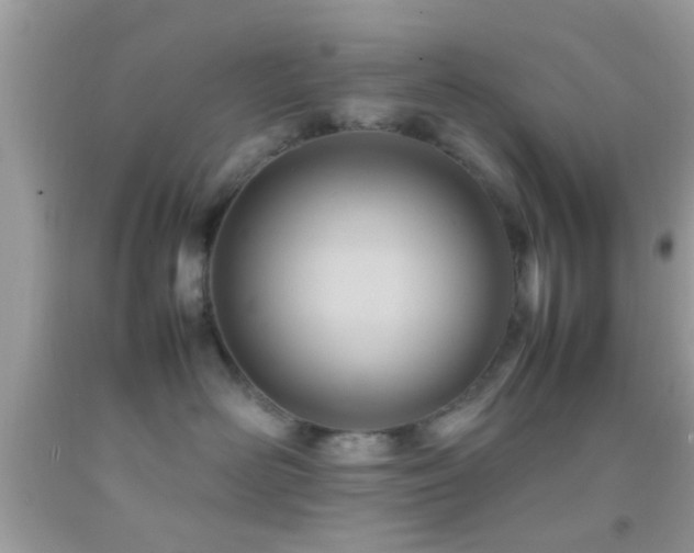 X0000092070526200709121419
