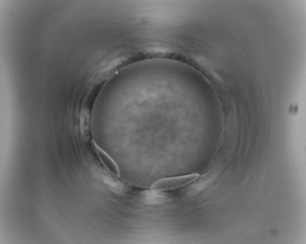 X0000092070528200709121419