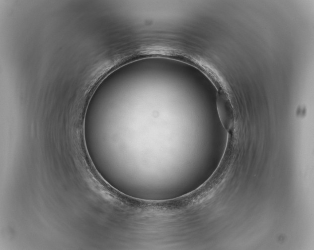 X0000092070529200709121418