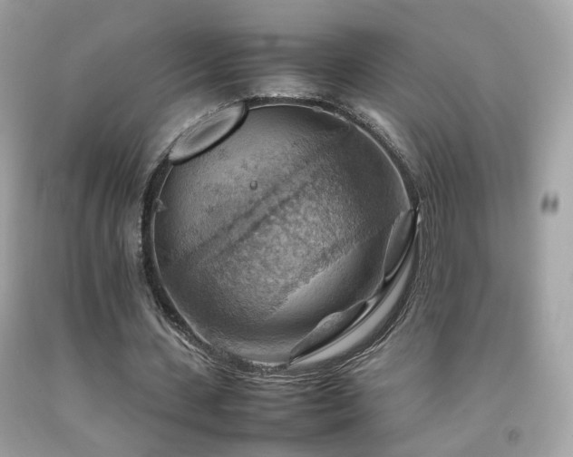 X0000092070531200709121418