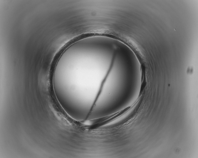 X0000092070532200709121418