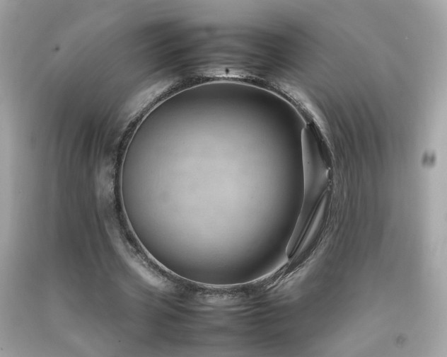 X0000092070533200709121418