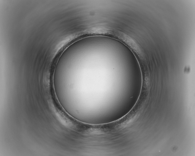 X0000092070534200709121418