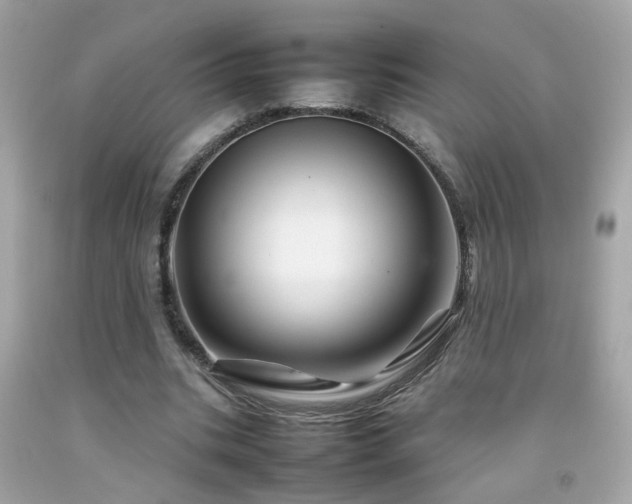 X0000092070535200709121418