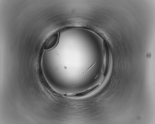 X0000092070536200709121418