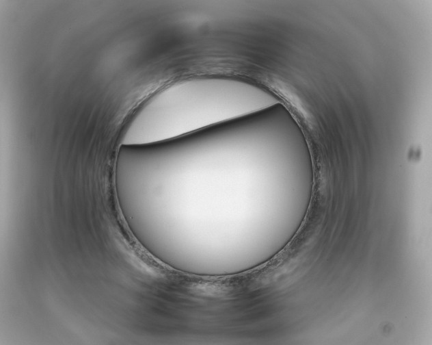 X0000092070537200709121418