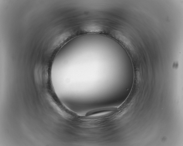 X0000092070541200709121418